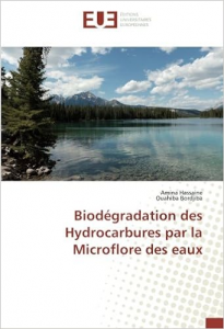 Biodégradation des Hydrocarbures par la Microflore des eaux