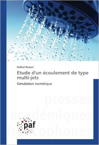 Etude d'un écoulement de type multi-jets: Simulation numérique